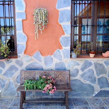 Finquita La Villa Icod De Los Vinos Exterior photo