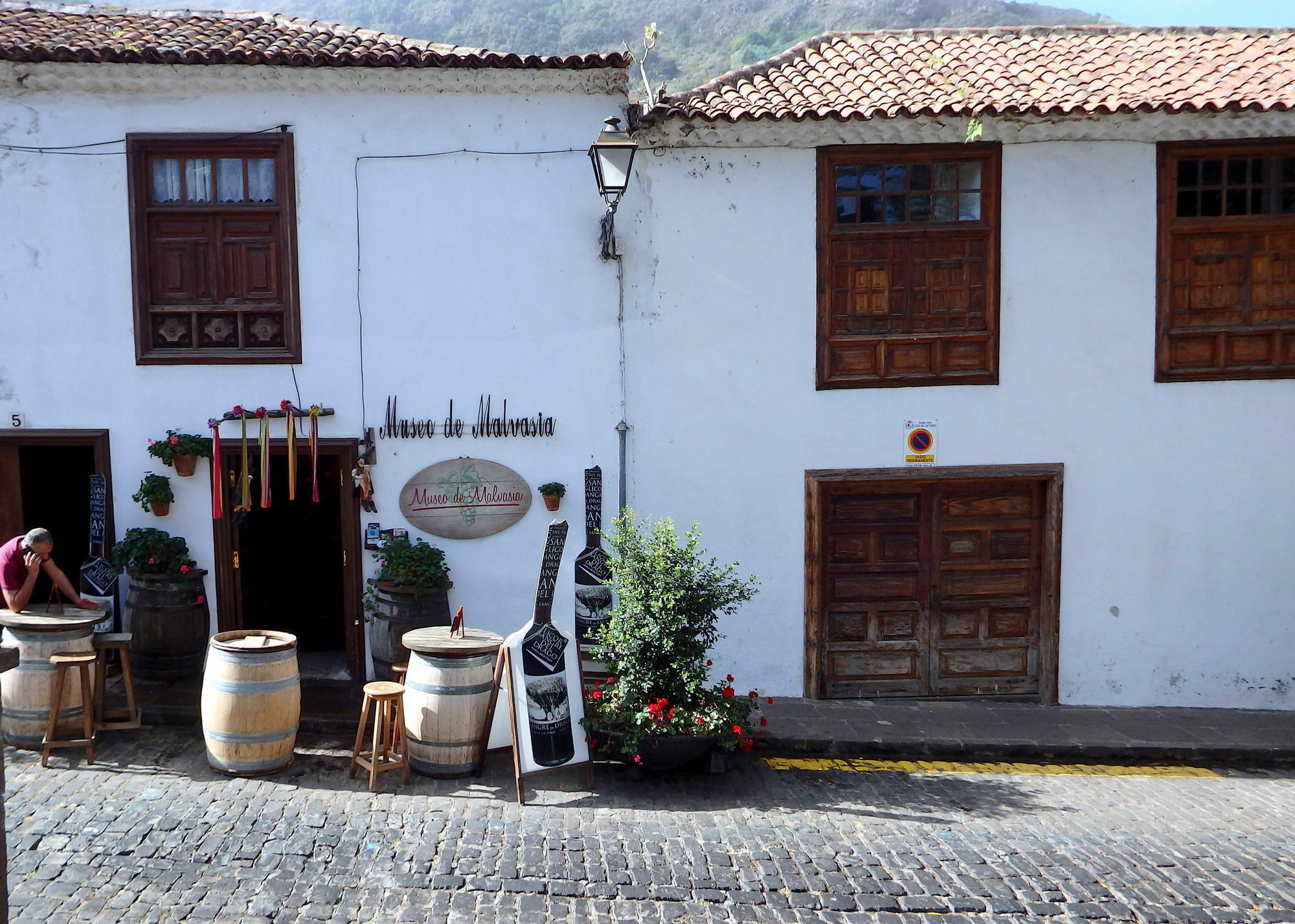 Finquita La Villa Icod De Los Vinos Exterior photo